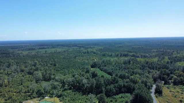 $467,500 | 0 Beavers Pass Road, Smoaks, SC 29481