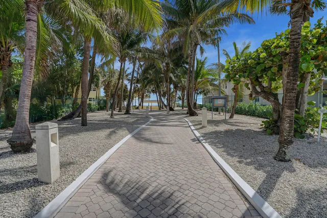 a view of a yard with plants