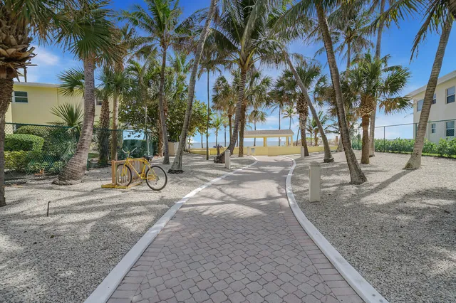 a view of a backyard with a slide