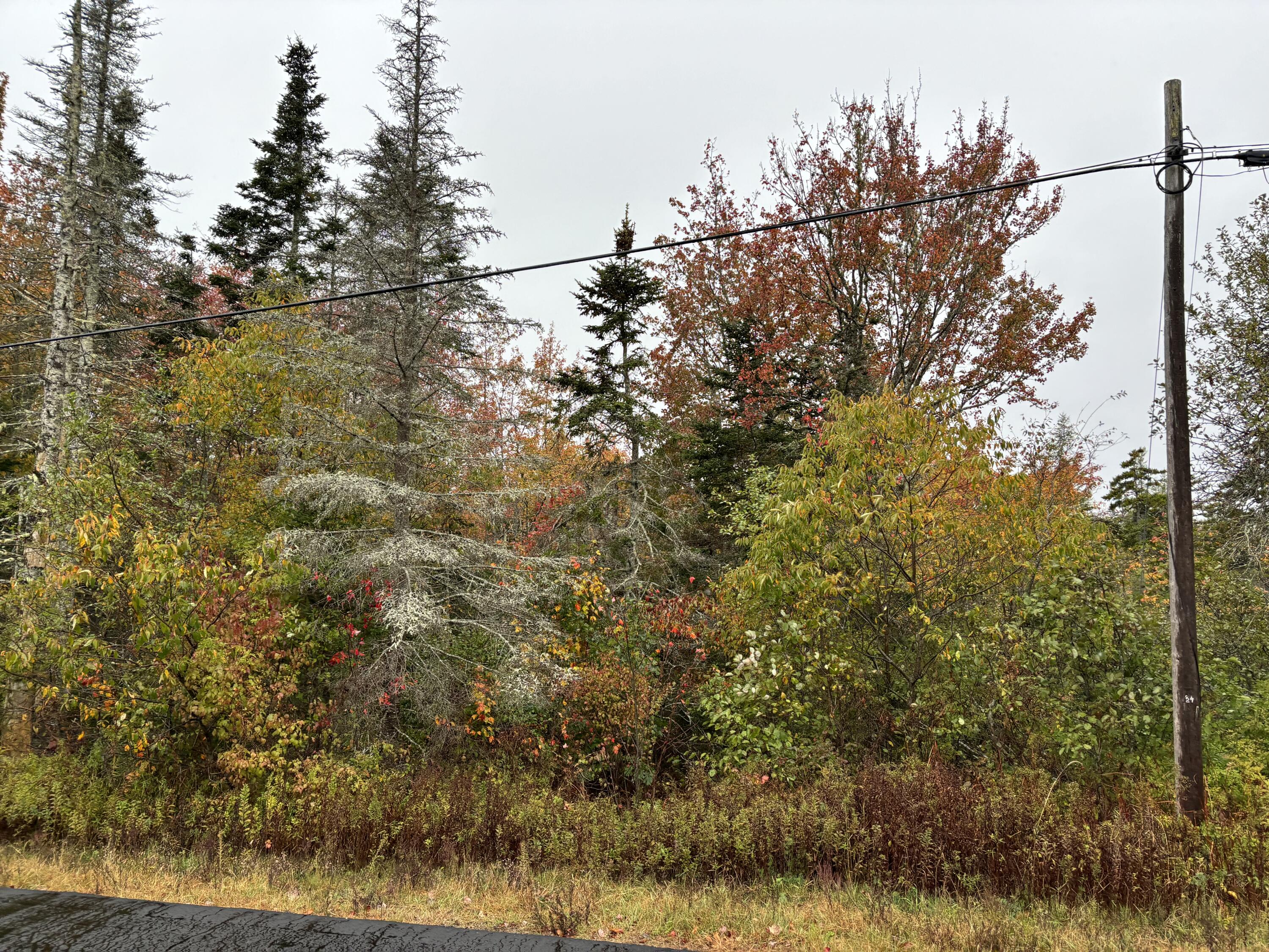 253 Hathorne Point Road Cushing, ME 04563 - Photo 4 of 12