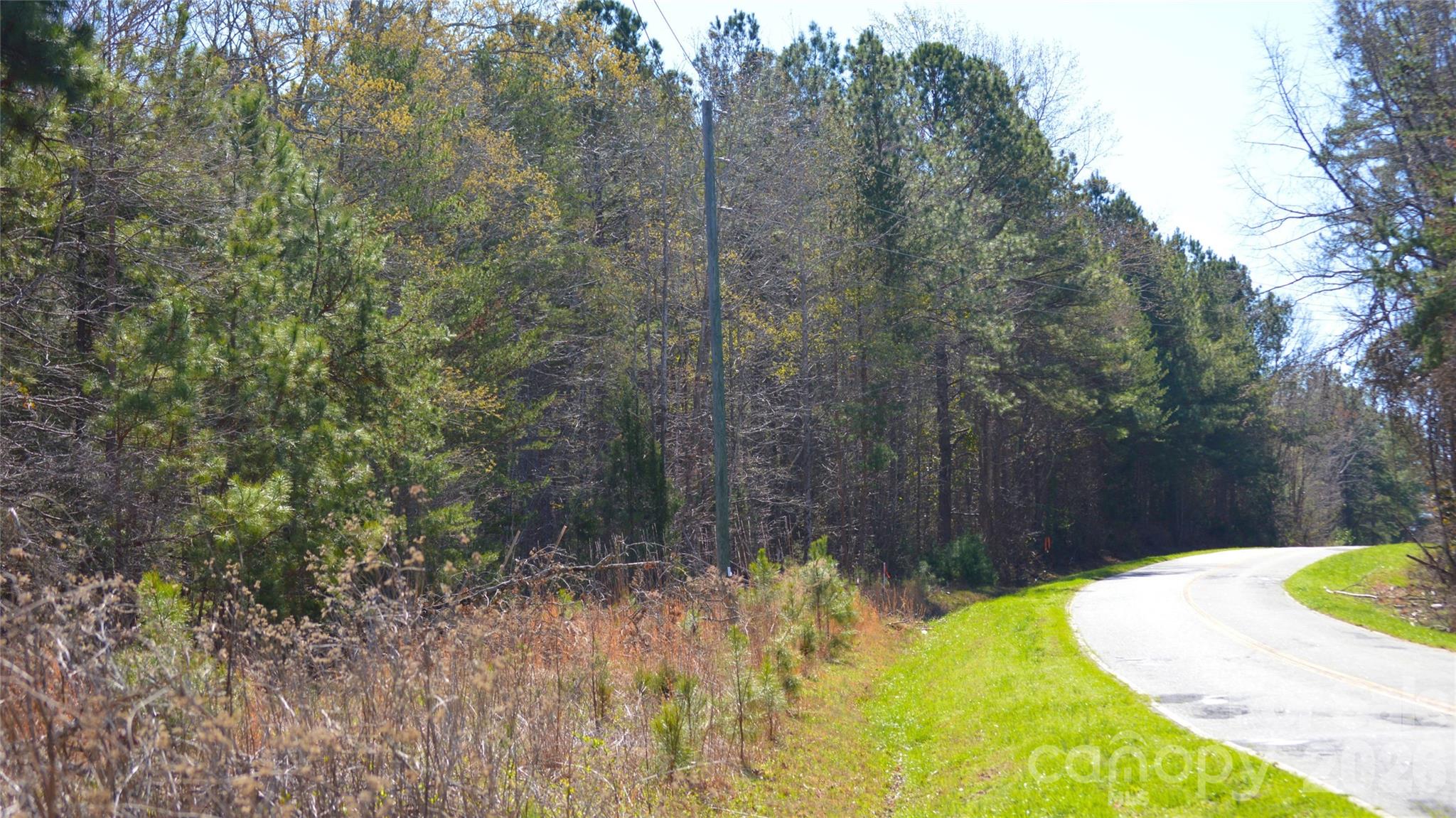 0 Bobby Faucette Road, Unit 3 Jonesville, SC 29353 - Photo 7 of 18
