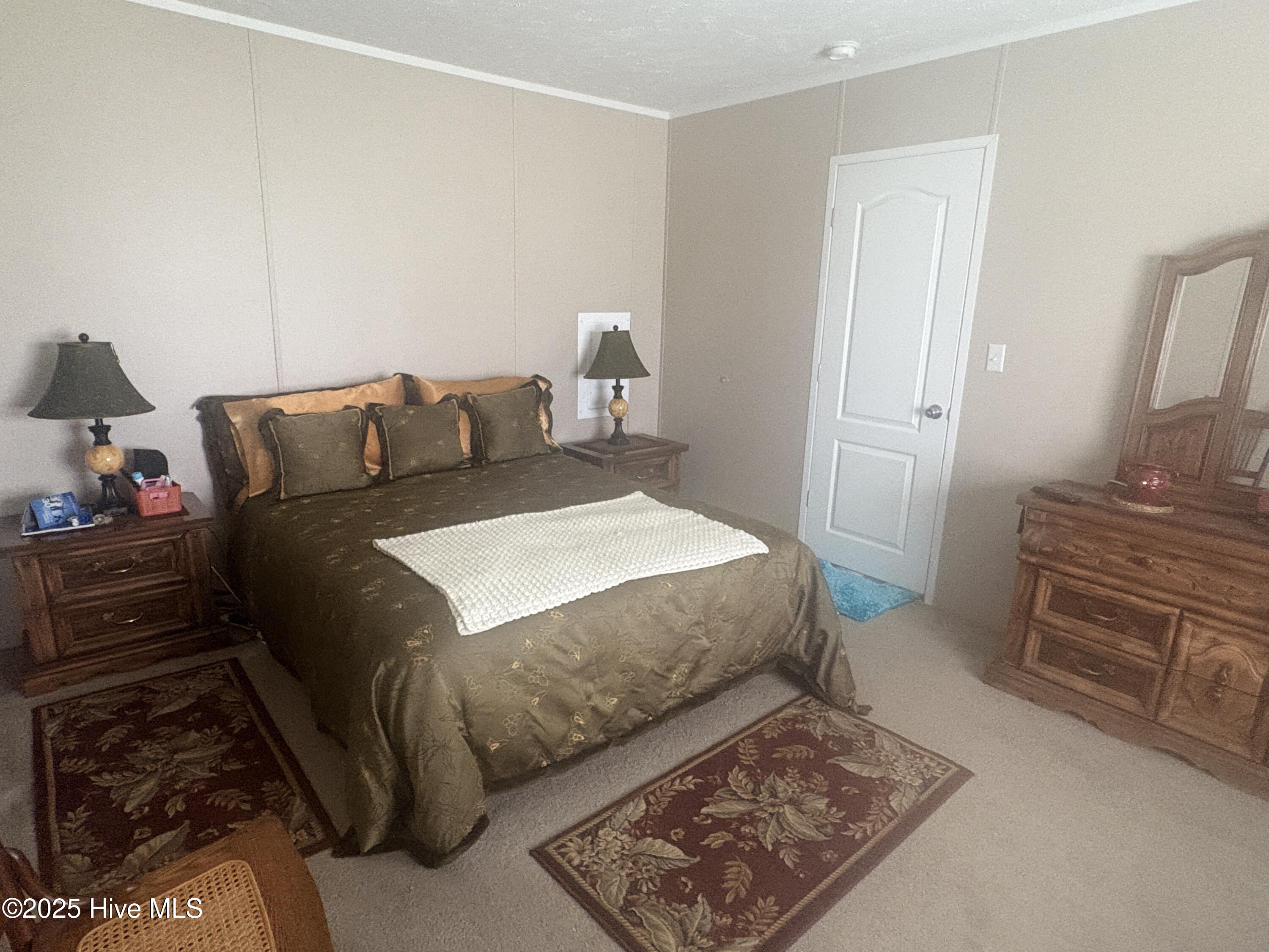 649 Turnpike Road Belvidere, NC 27919 - Photo 18 of 28 Primary bedroom