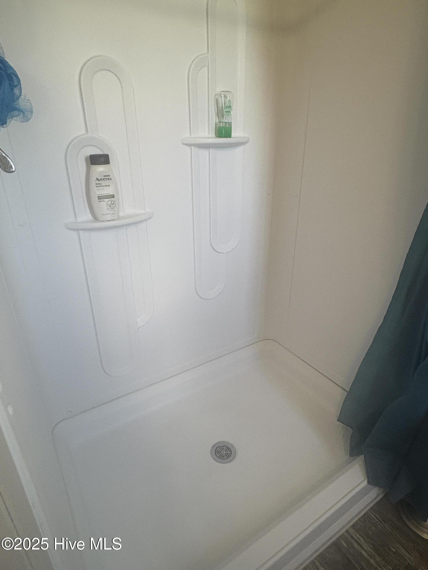 649 Turnpike Road Belvidere, NC 27919 - Photo 20 of 28 Shower