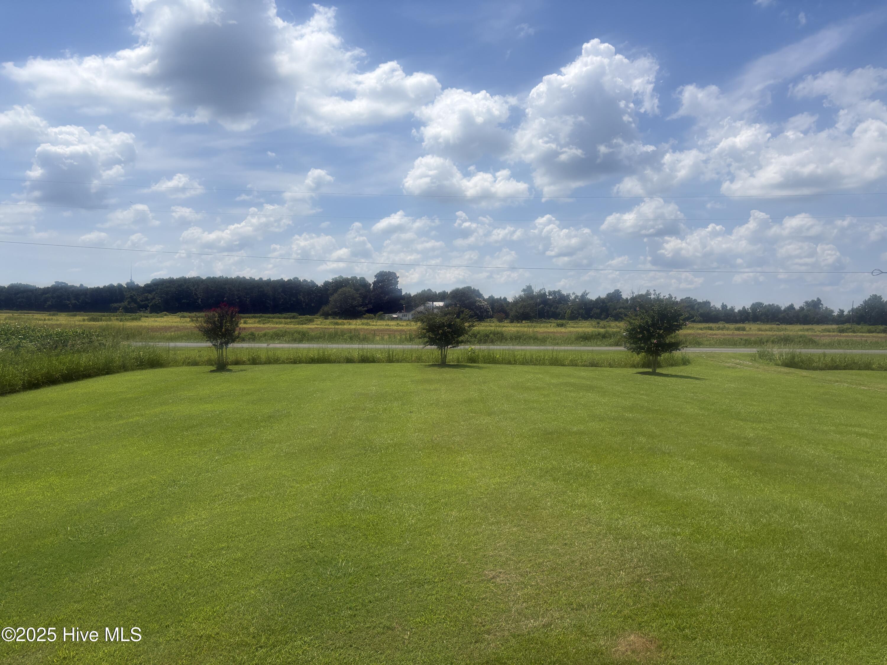 649 Turnpike Road Belvidere, NC 27919 - Photo 2 of 28 Front Yard