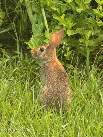$210,000 | 649 Turnpike Road, Belvidere, NC 27919