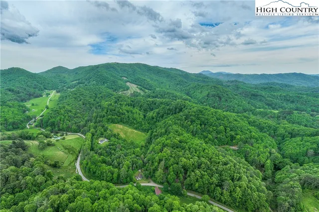 a view of a lush green forest with trees and some houses