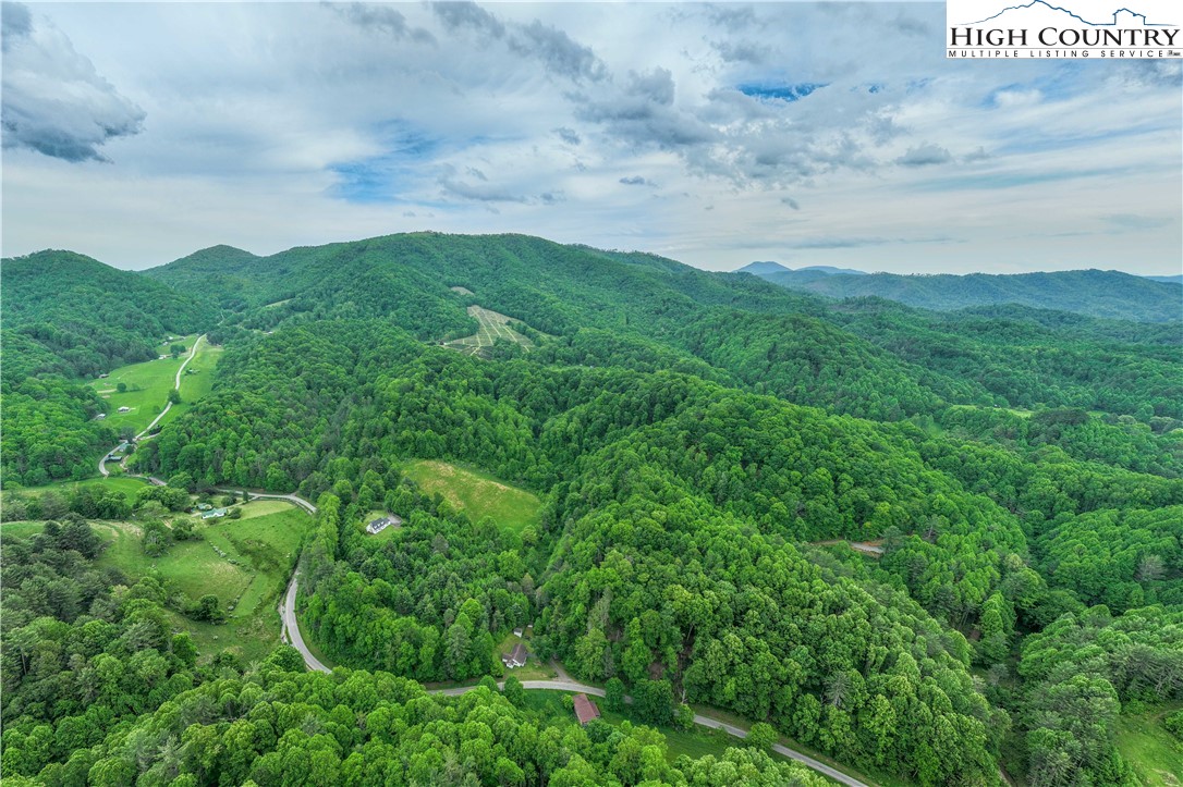 1546 Stage Road Mountain City, TN 37683 - Photo 36 of 48 a view of a big yard with lots of green space