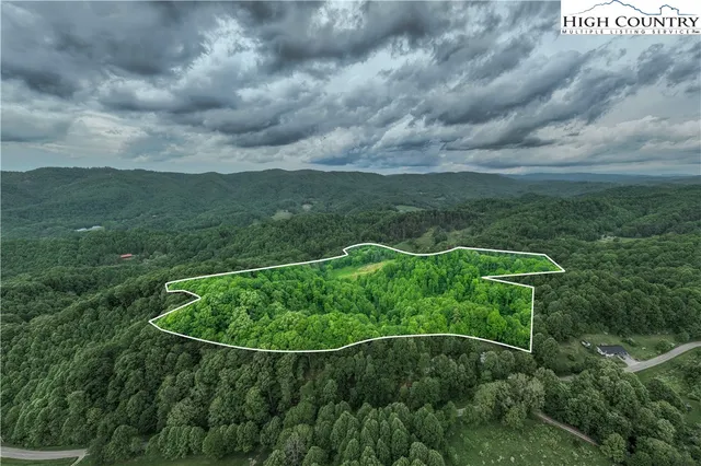 a view of a big yard with grass and plants