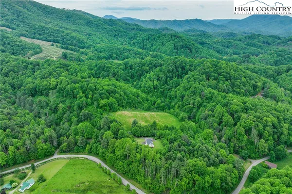 a view of a green yard