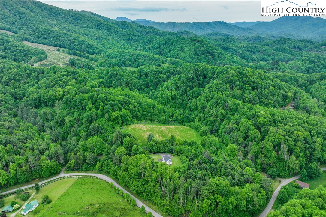 1546 Stage Road Mountain City, TN 37683 - Photo 38 of 48 a view of a lush green forest with trees and some houses