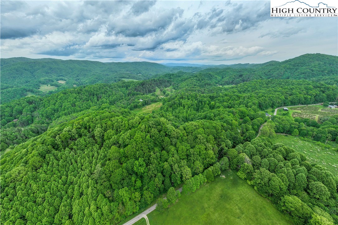 1546 Stage Road Mountain City, TN 37683 - Photo 39 of 48 a view of a big yard with grass and plants