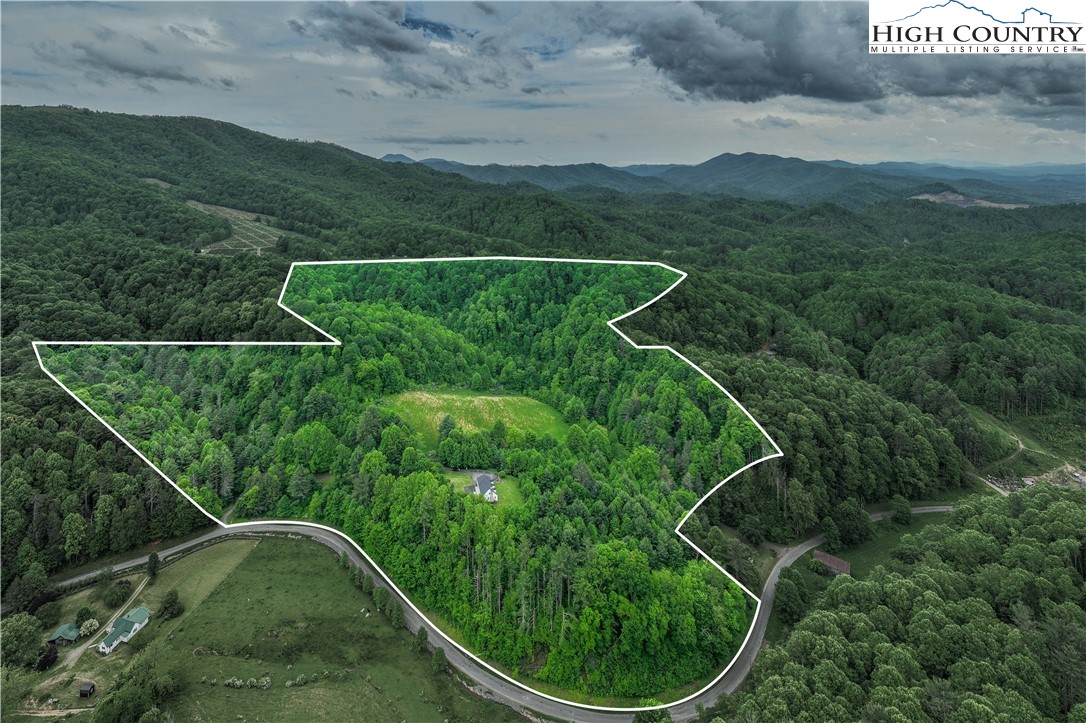 1546 Stage Road Mountain City, TN 37683 - Photo 4 of 48