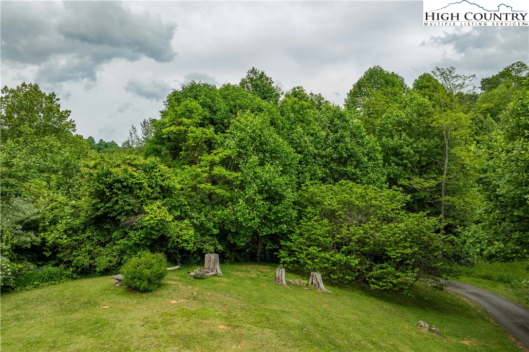 1546 Stage Road Mountain City, TN 37683 - Photo 42 of 48 a green field with lots of bushes