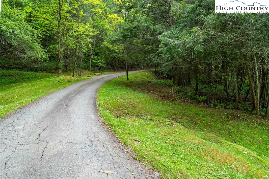 1546 Stage Road Mountain City, TN 37683 - Photo 46 of 48 a view of a park with large trees