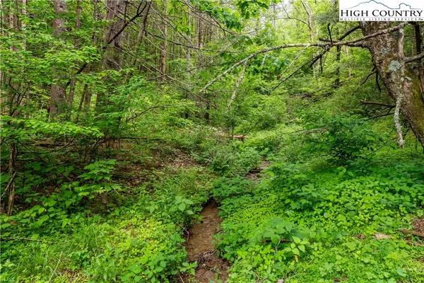 $650,000 | 1546 Stage Road, Mountain City, TN 37683