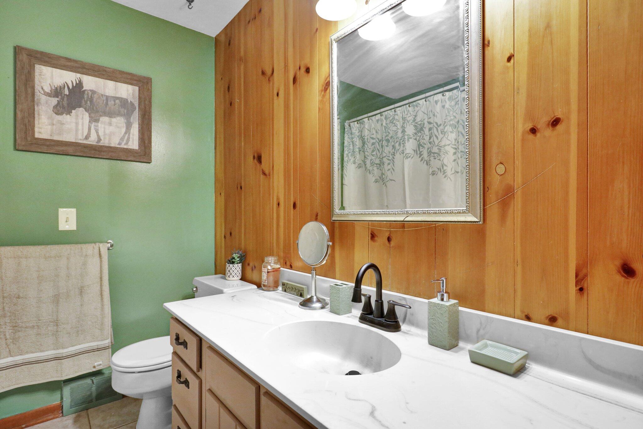 6070 Valley Trail Dimondale, MI 48821 - Photo 24 of 63 14-web-or-mls-Open Ended Media-13
