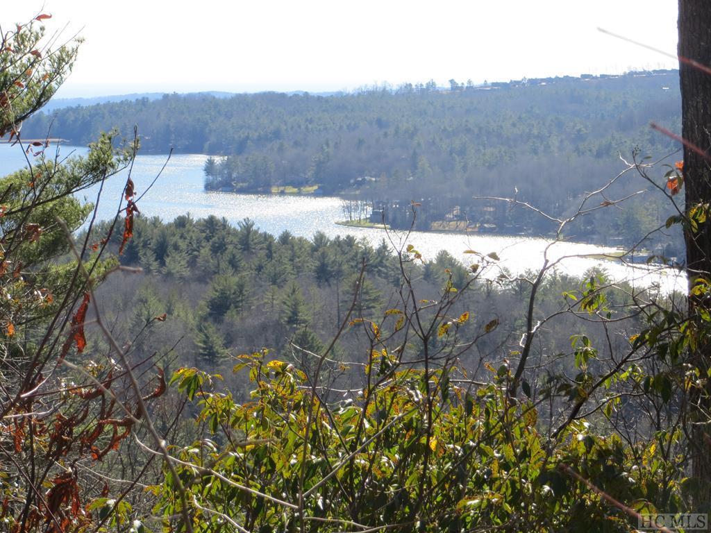 Lot 17 Panther Ridge Road Lake Toxaway, NC 28747 - Photo 3 of 38 Gallery Image 3