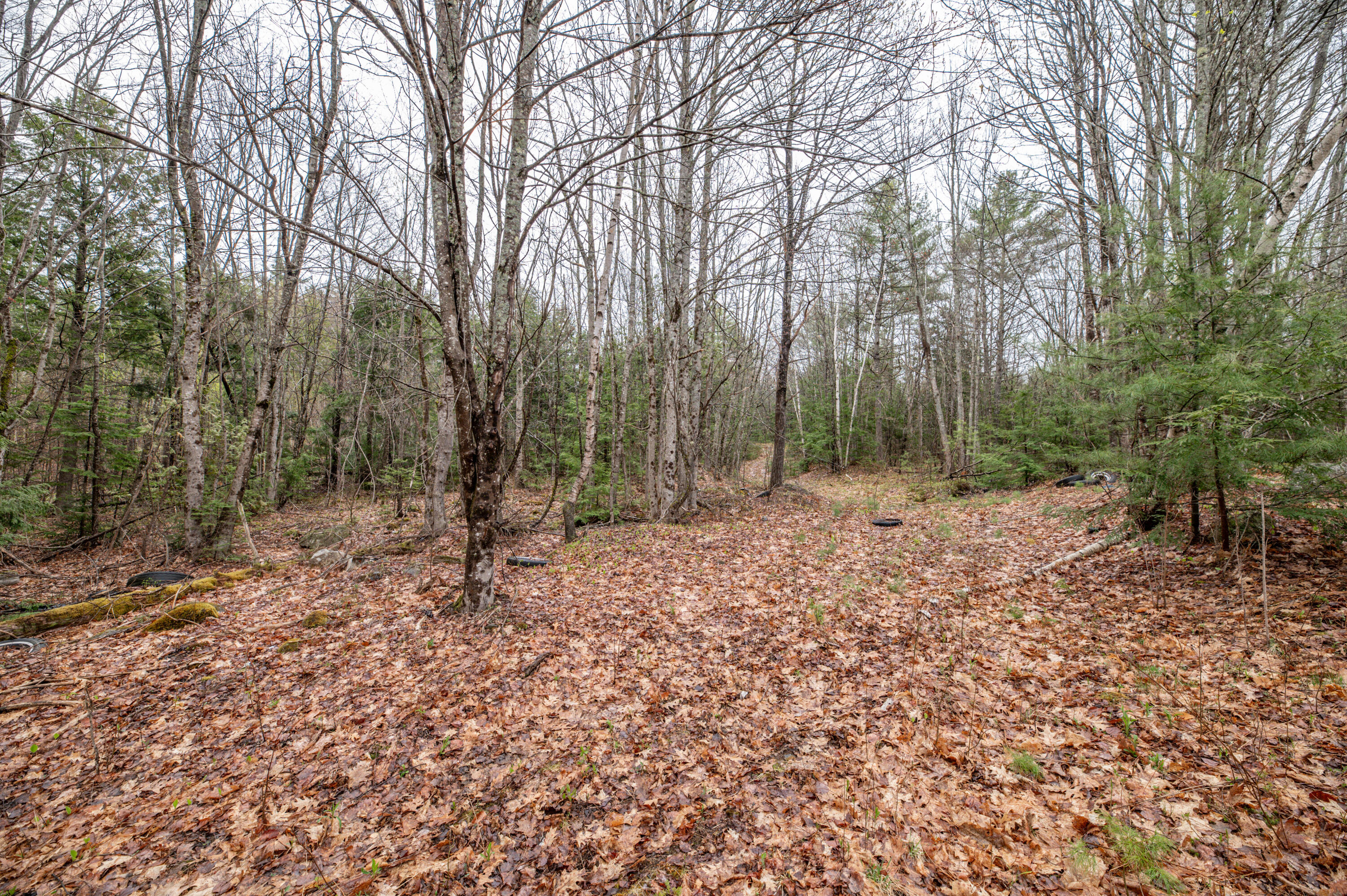 818 Middle Road Dresden, ME 04342 - Photo 20 of 26 Land15