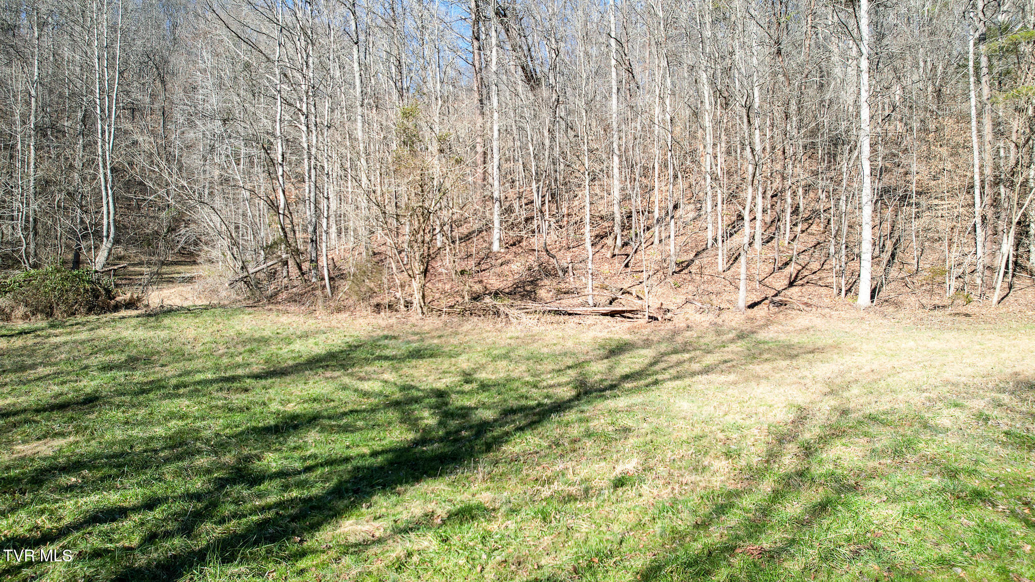 752 War Valley Road Rogersville, TN 37857 - Photo 11 of 27 10