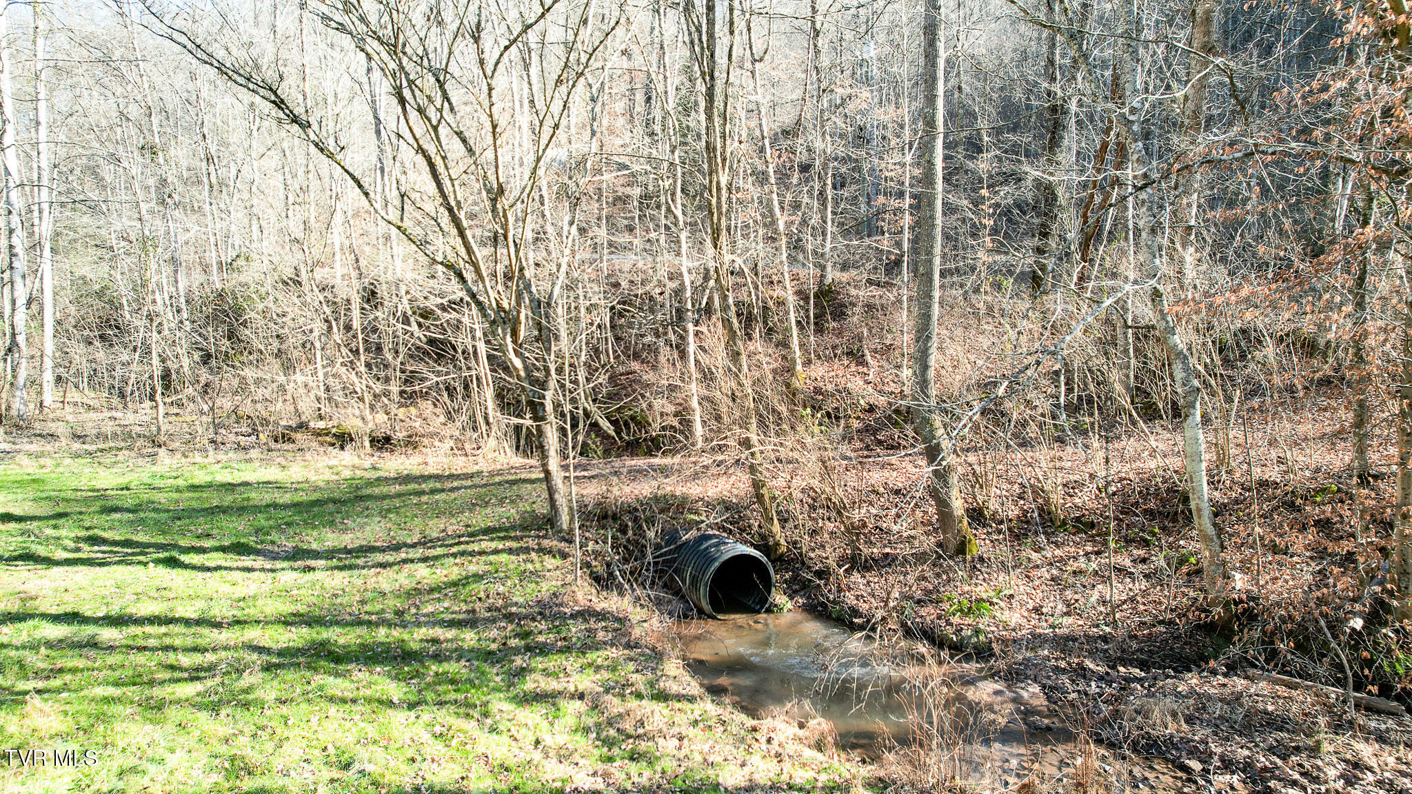 752 War Valley Road Rogersville, TN 37857 - Photo 13 of 27 12