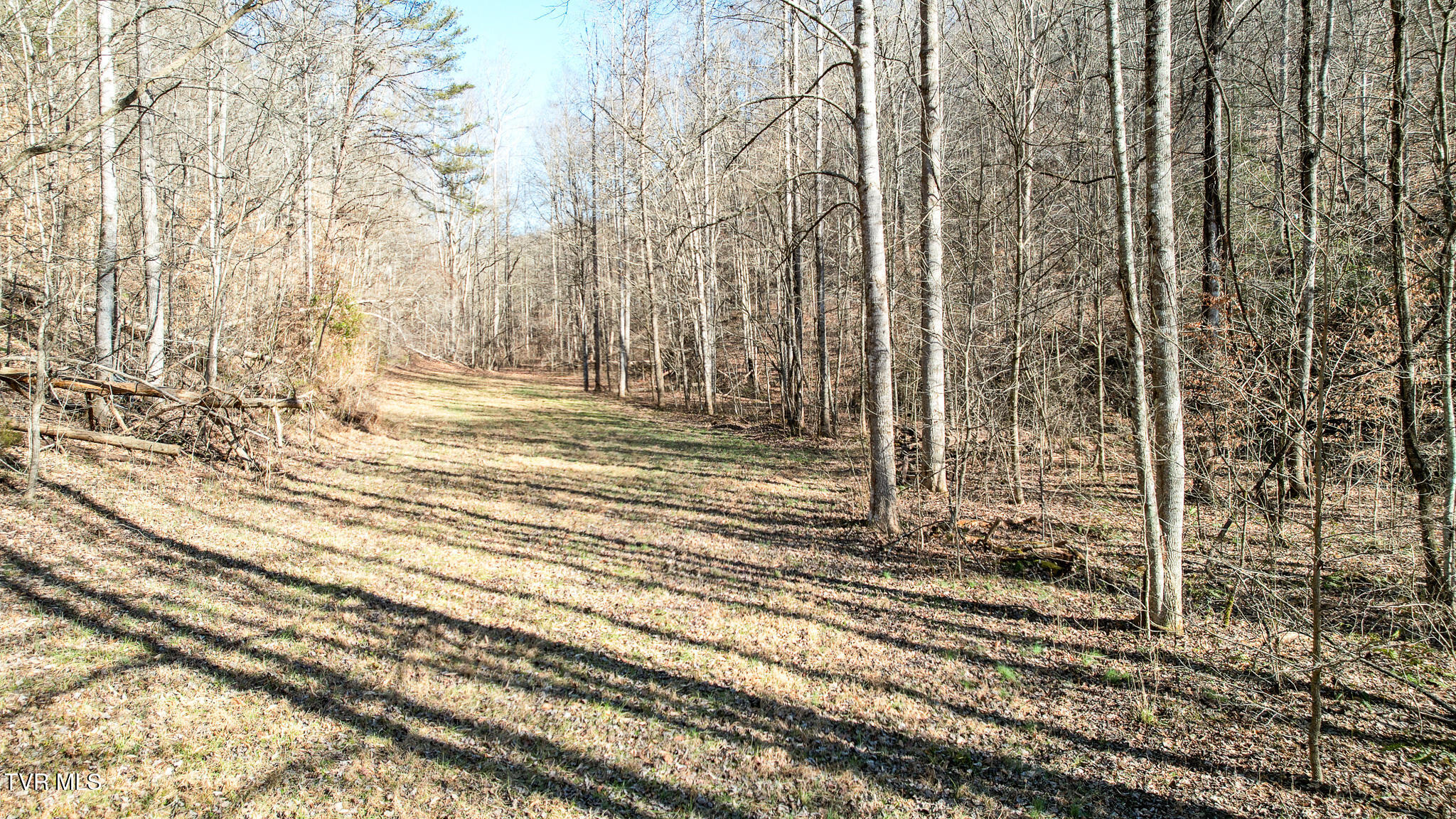 752 War Valley Road Rogersville, TN 37857 - Photo 14 of 27 13