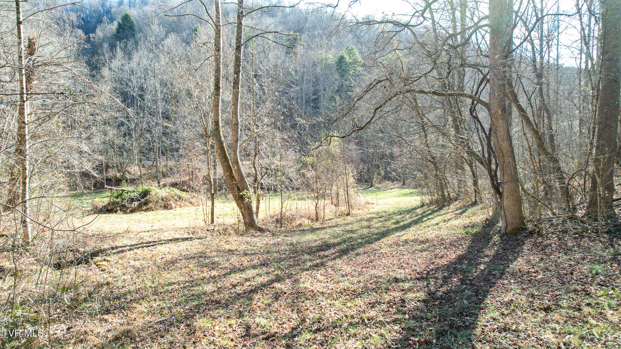 752 War Valley Road Rogersville, TN 37857 - Photo 15 of 27 14