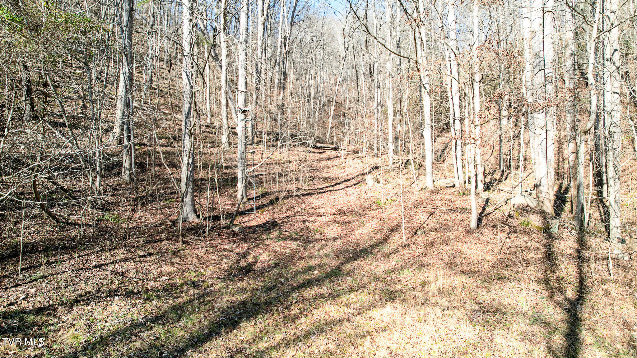 752 War Valley Road Rogersville, TN 37857 - Photo 16 of 27 15