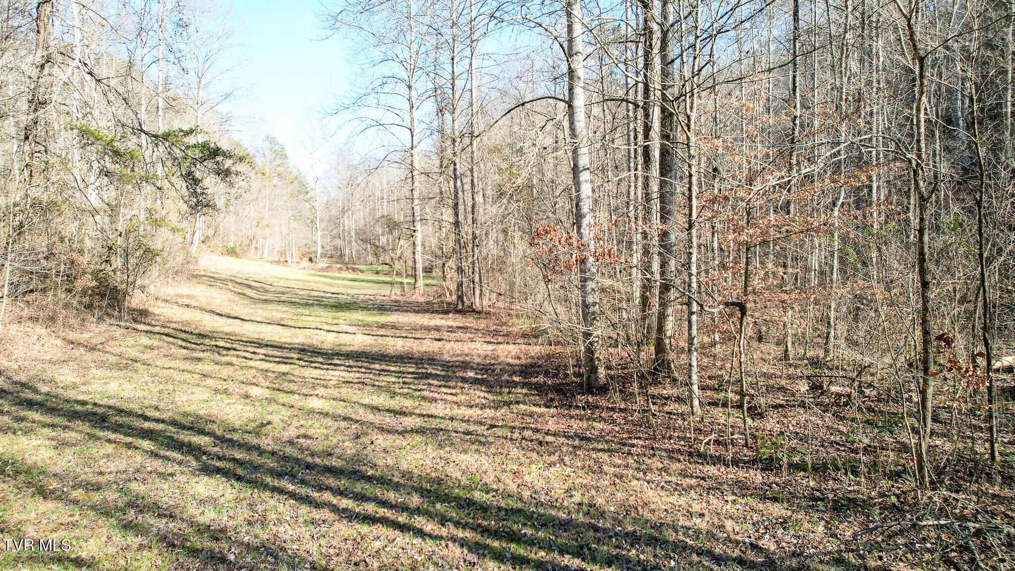 752 War Valley Road Rogersville, TN 37857 - Photo 17 of 27 16