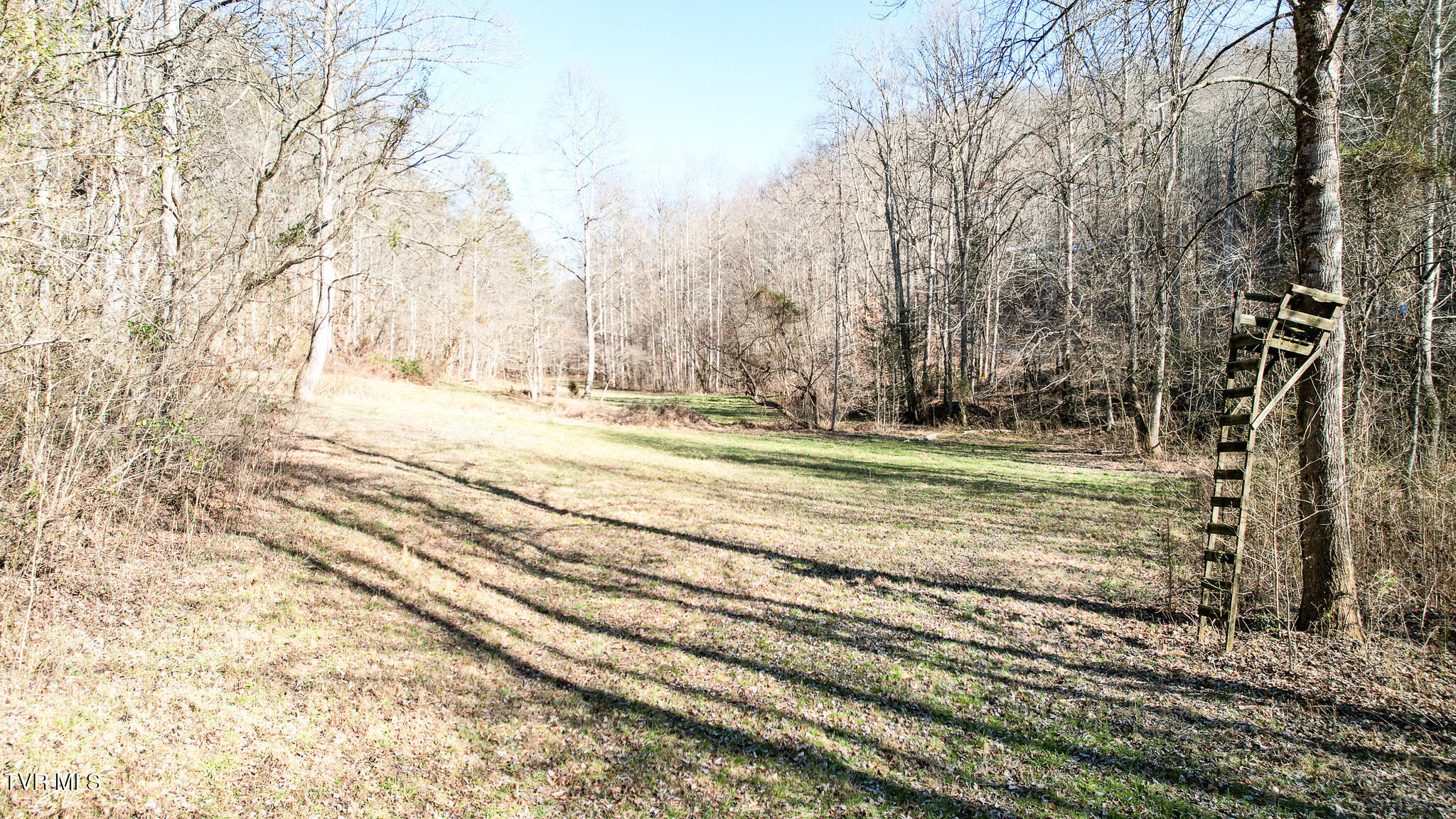 752 War Valley Road Rogersville, TN 37857 - Photo 18 of 27 17