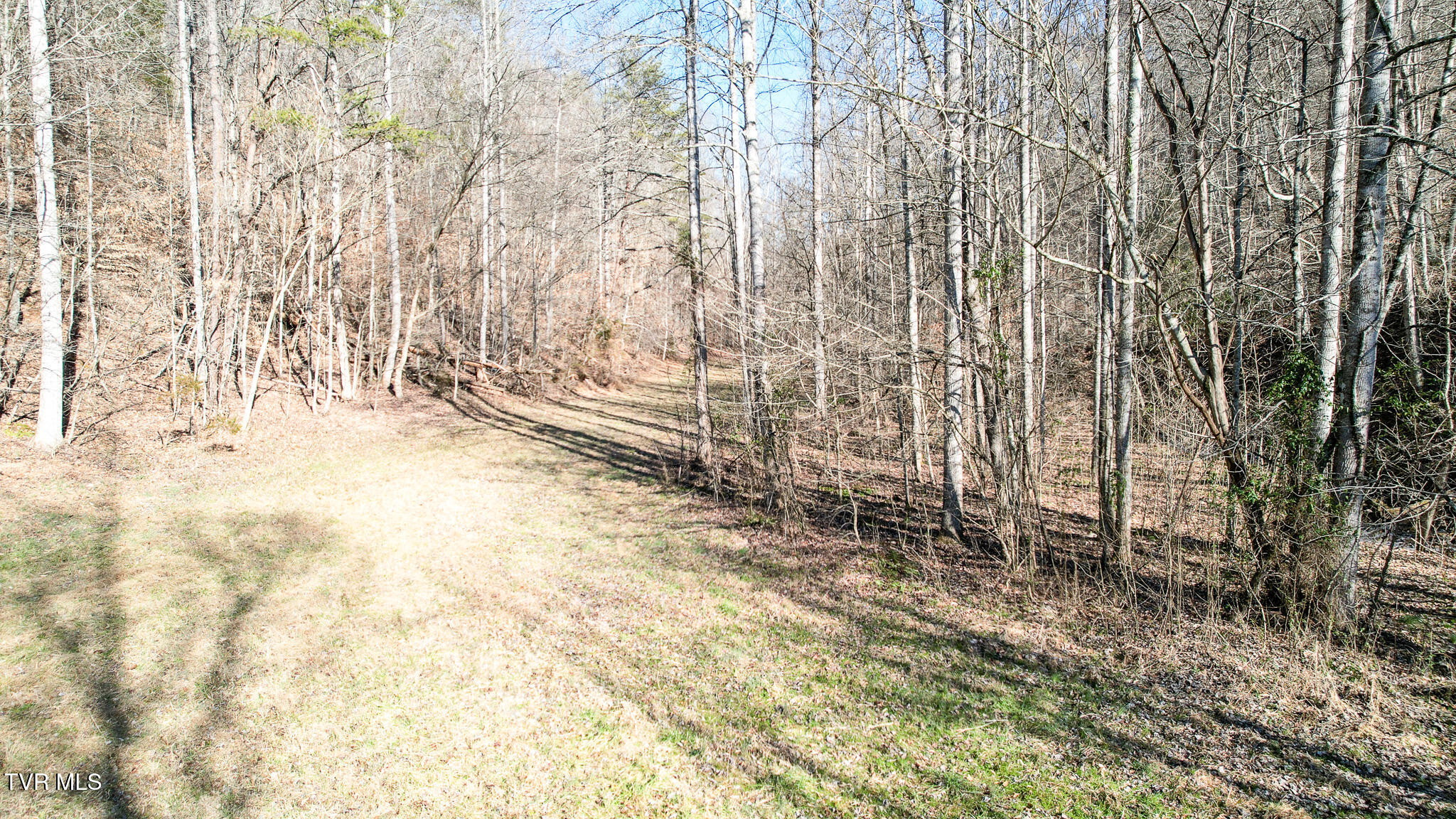 752 War Valley Road Rogersville, TN 37857 - Photo 20 of 27 19