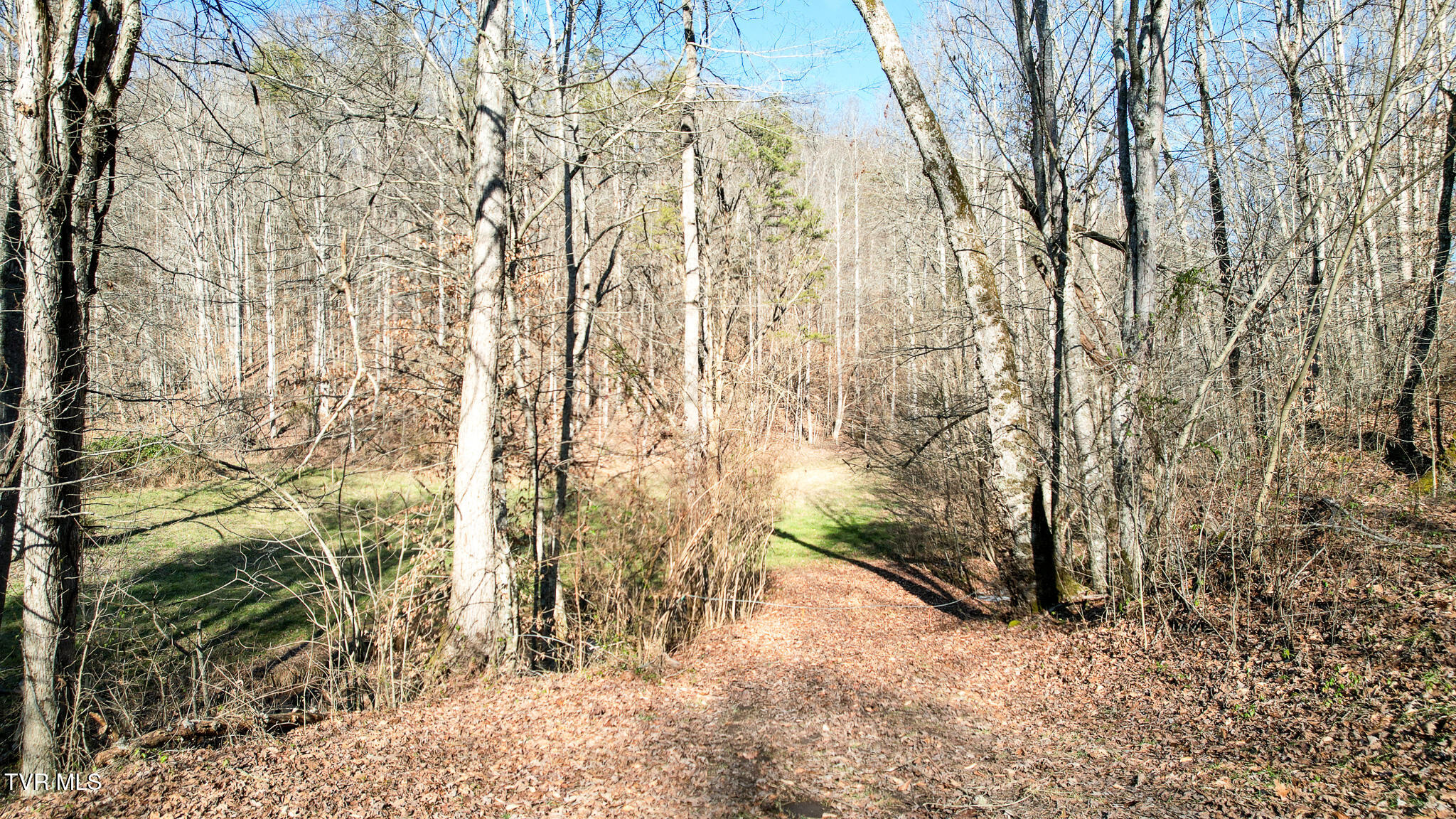 752 War Valley Road Rogersville, TN 37857 - Photo 21 of 27 21