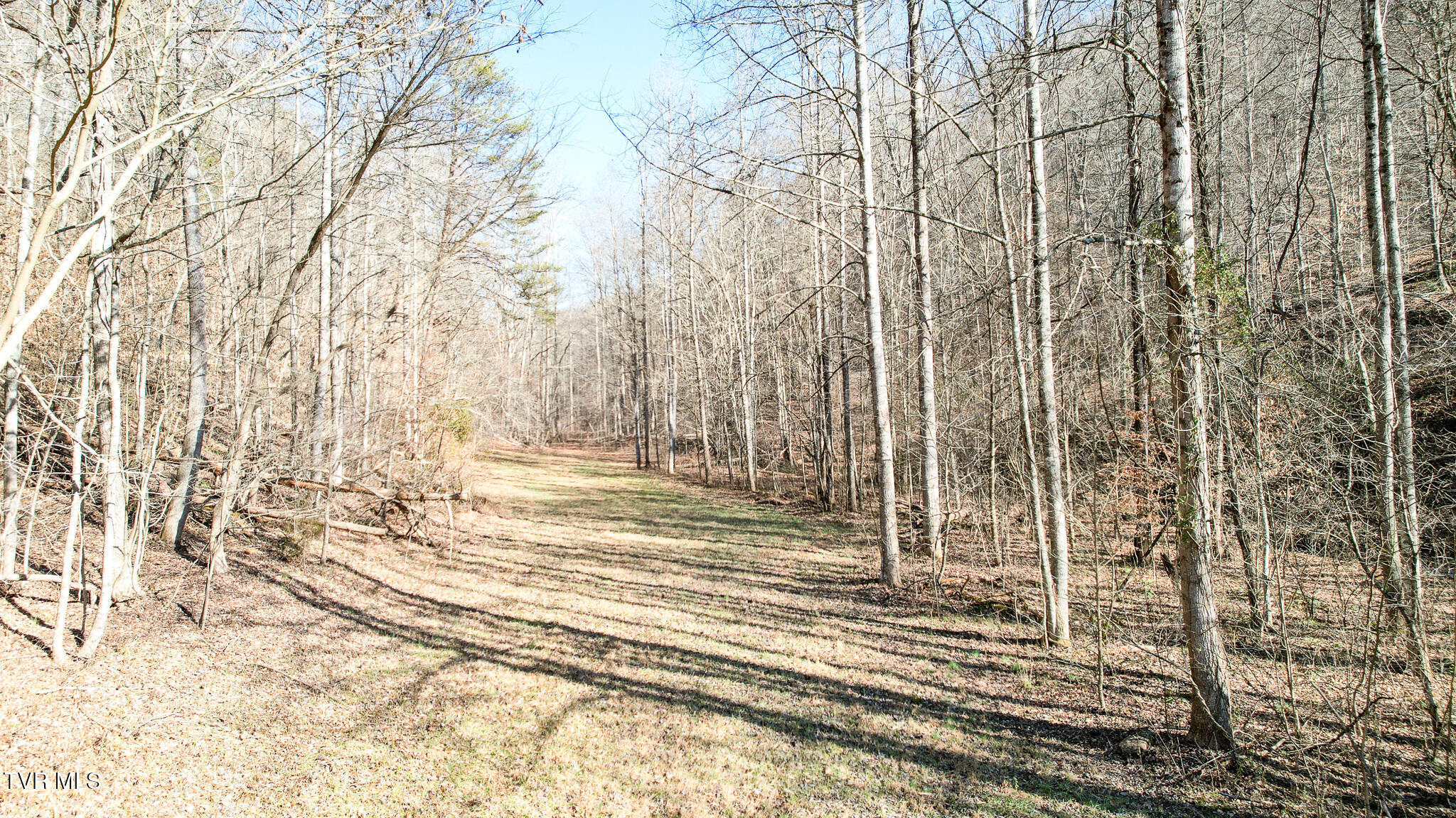 752 War Valley Road Rogersville, TN 37857 - Photo 22 of 27 22
