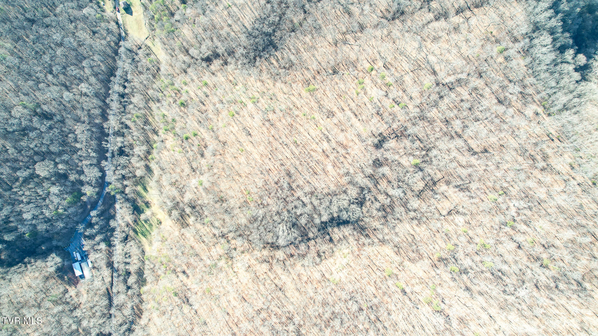 752 War Valley Road Rogersville, TN 37857 - Photo 23 of 27 23