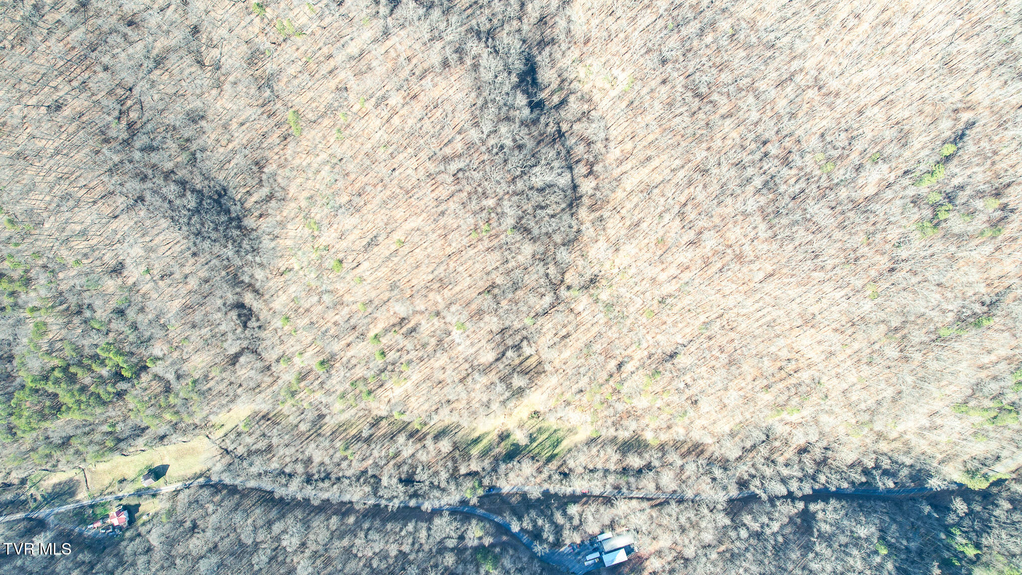 752 War Valley Road Rogersville, TN 37857 - Photo 26 of 27 26