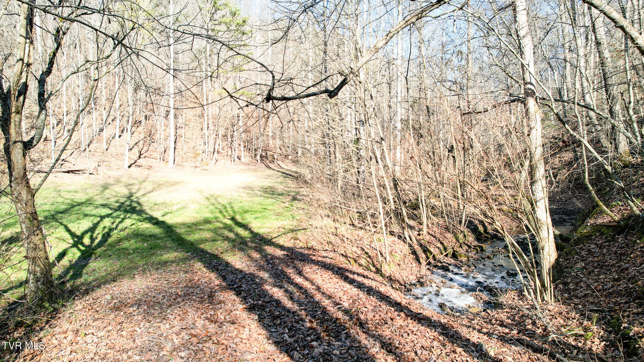 752 War Valley Road Rogersville, TN 37857 - Photo 7 of 27 6