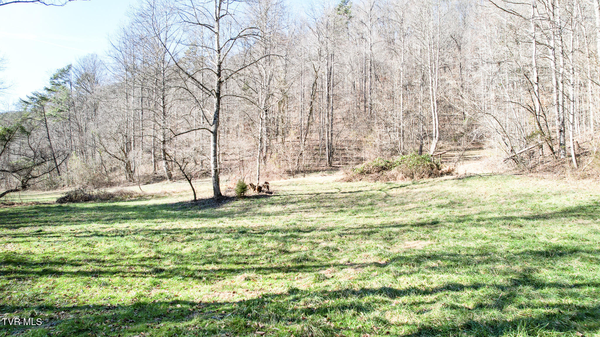 752 War Valley Road Rogersville, TN 37857 - Photo 10 of 27 9