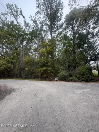 a view of a field with trees in background
