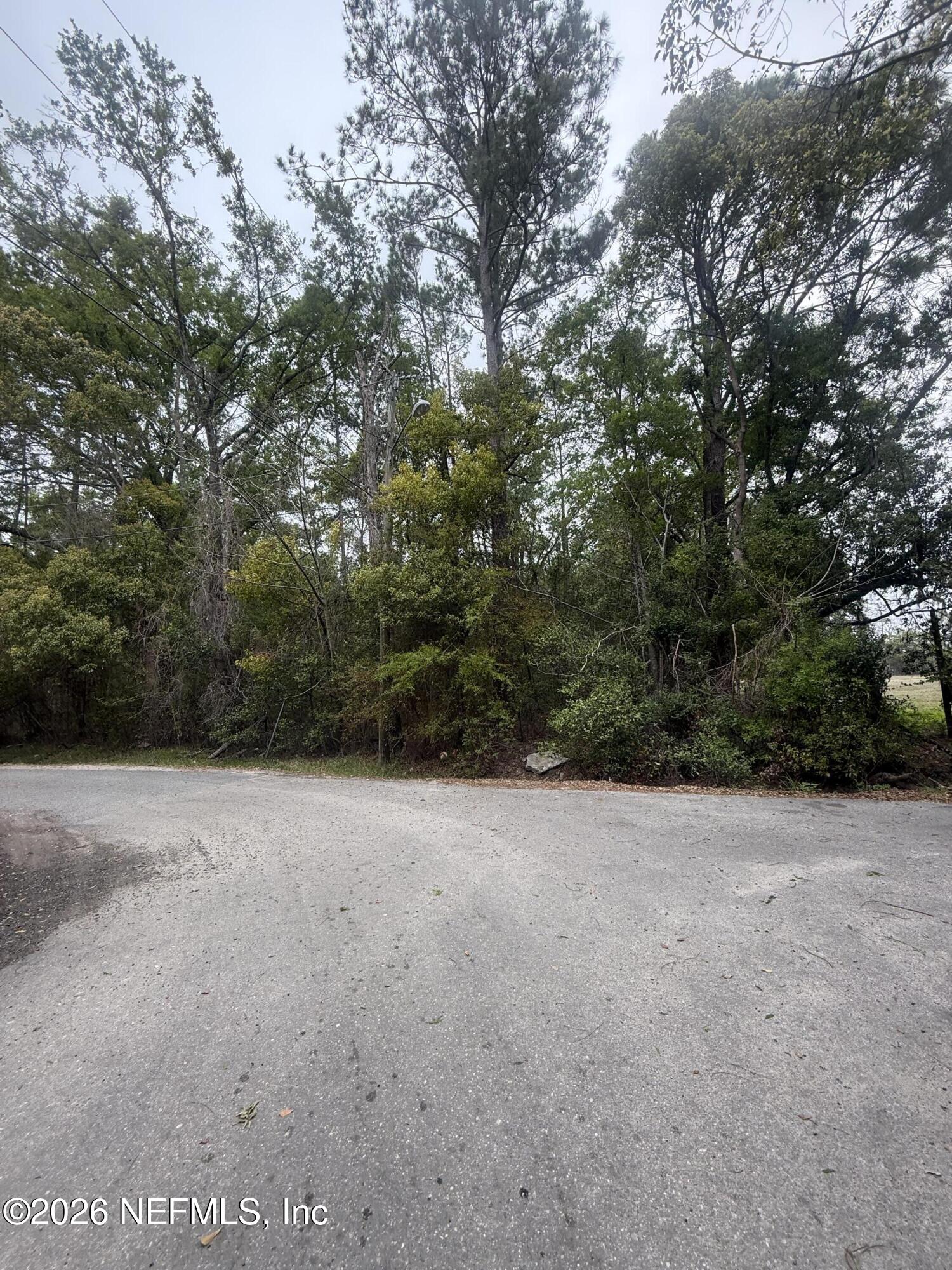 Tbd Tbd Crum Starke, FL 32091 - Photo 3 of 3 a view of a field with trees in background