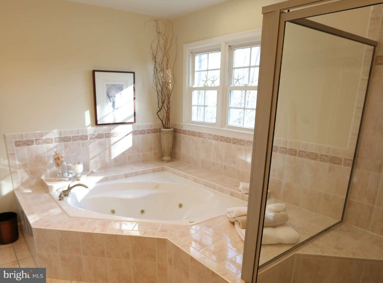 11883 Fawn Ridge Lane Reston, VA 20194 - Photo 14 of 30 Bath (Master)