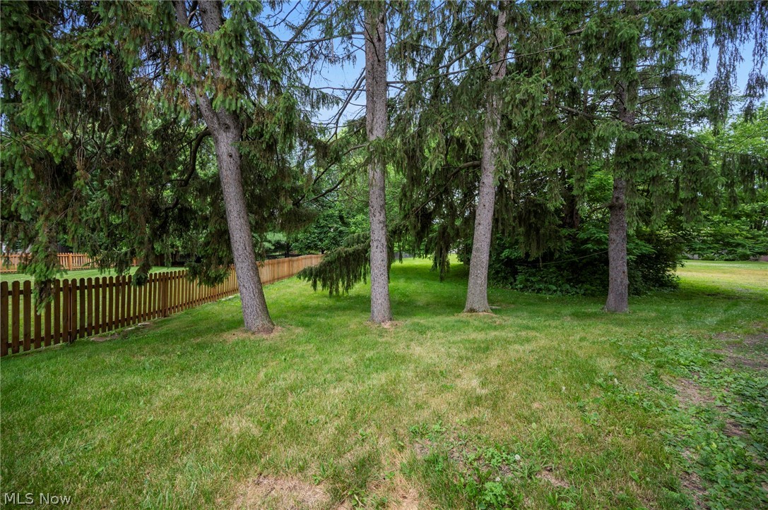 403 Barrett Road Berea, OH 44017 - Photo 20 of 22 Expansive yard featuring mature evergreen trees and a picket fence