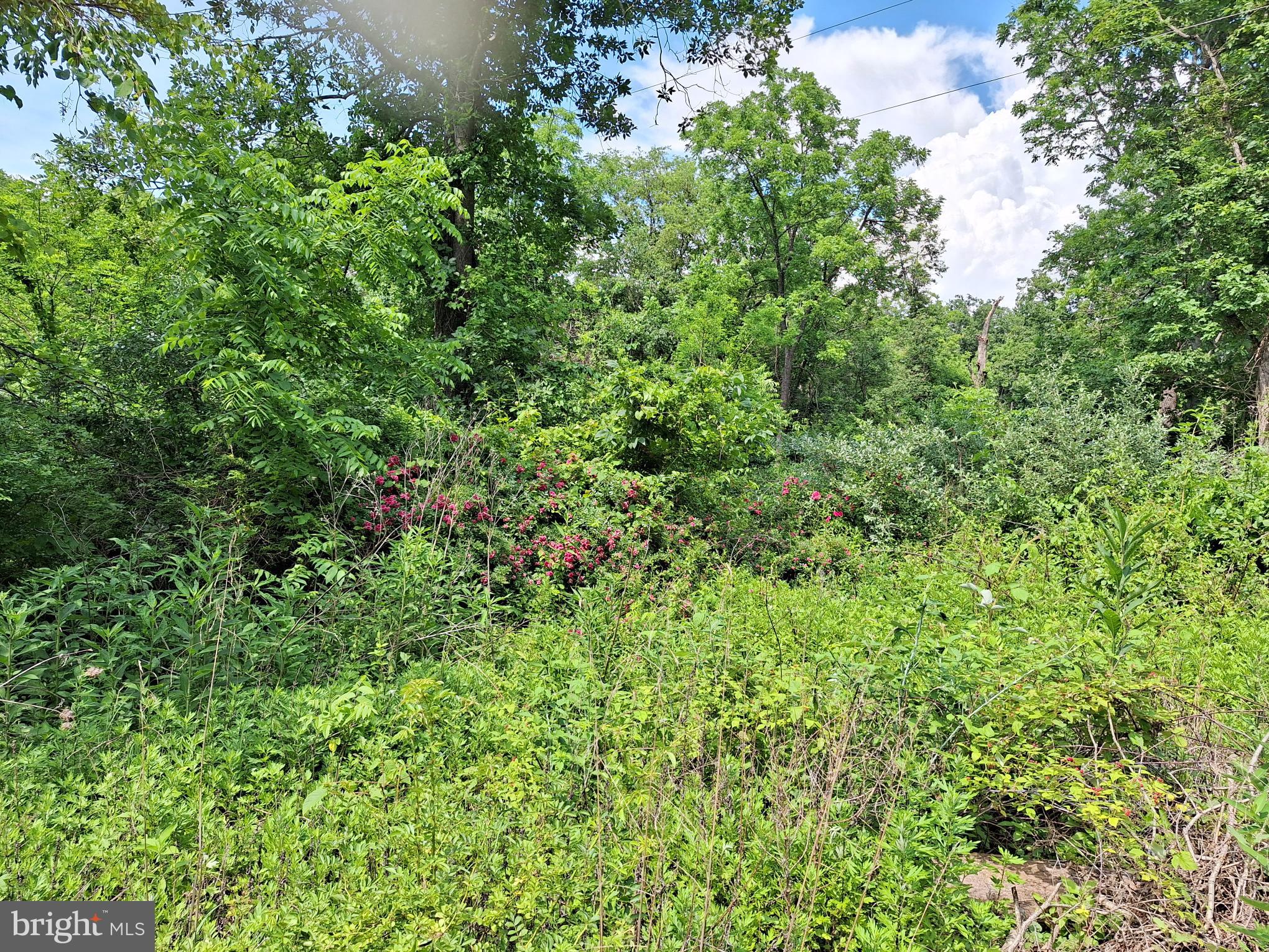9499 Old Waterloo Road Warrenton, VA 20186 - Photo 15 of 19