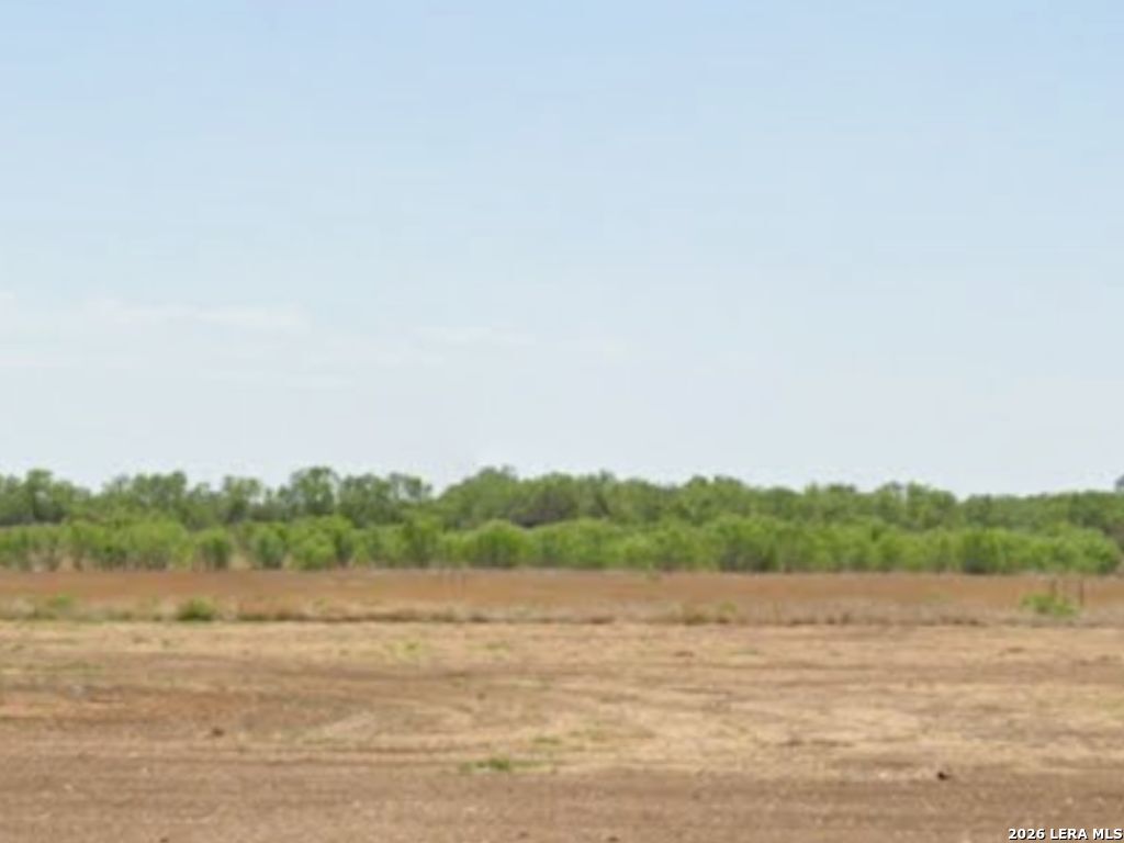 2017 County Road 651 Devine, TX 78016 - Photo 1 of 6