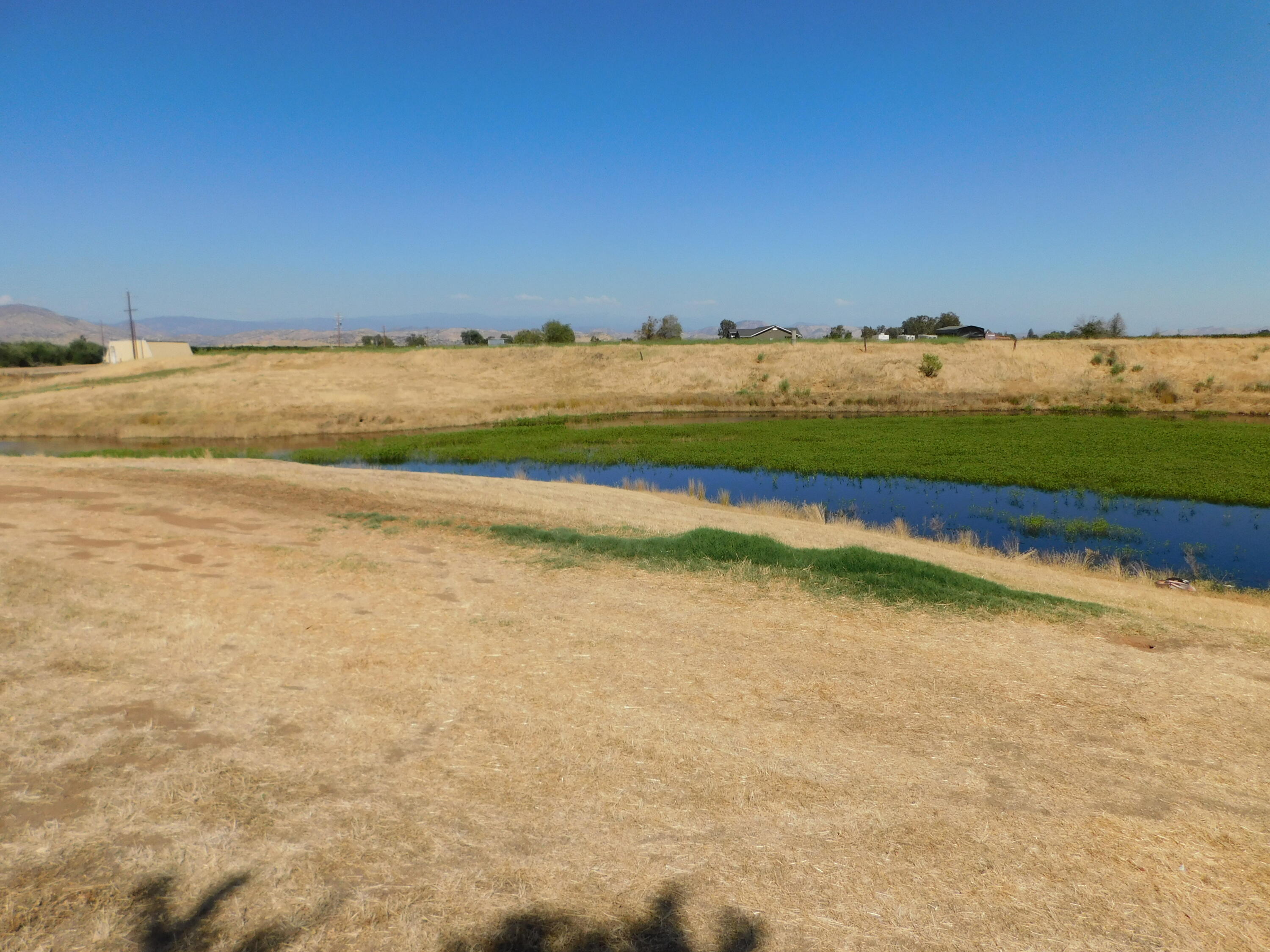 20367 Goodfellow Avenue Reedley, CA 93654 - Photo 85 of 123 820