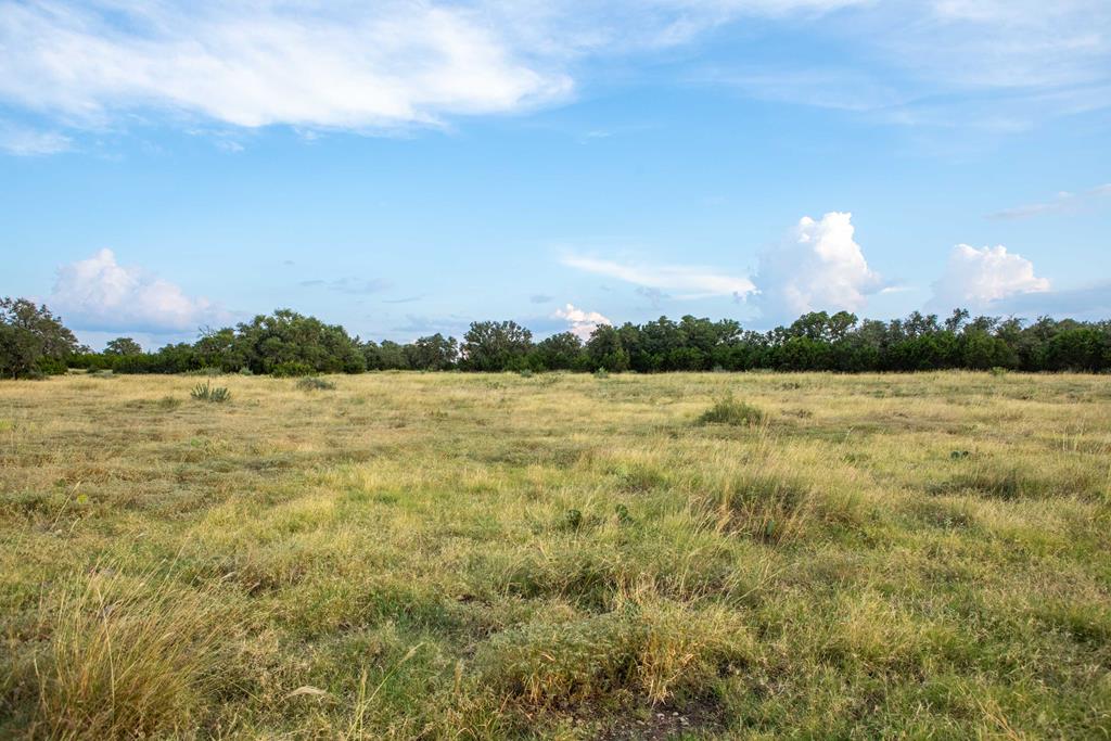 Undisclosed Address Rocksprings, TX 78880 - Photo 42 of 50