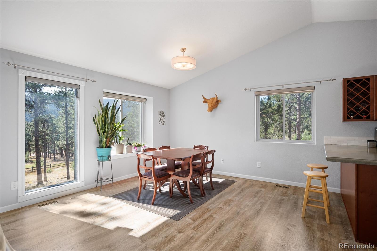 560 Gunsmoke Drive Bailey, CO 80421 - Photo 7 of 43