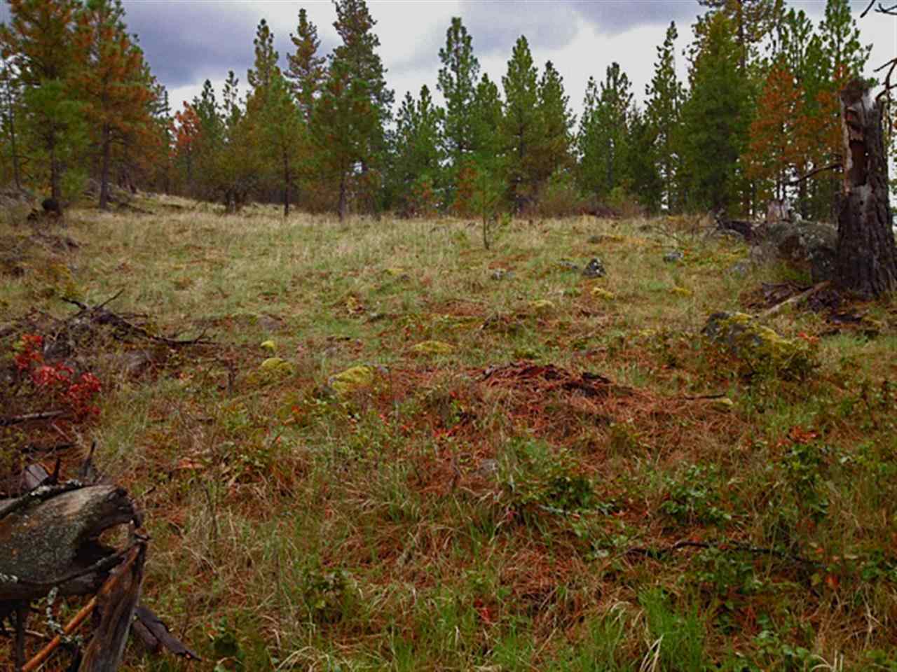 0 North Hardesty Road Colbert, WA 99005 - Photo 1 of 16