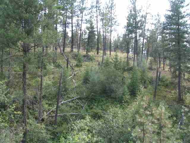 0 North Hardesty Road Colbert, WA 99005 - Photo 2 of 16