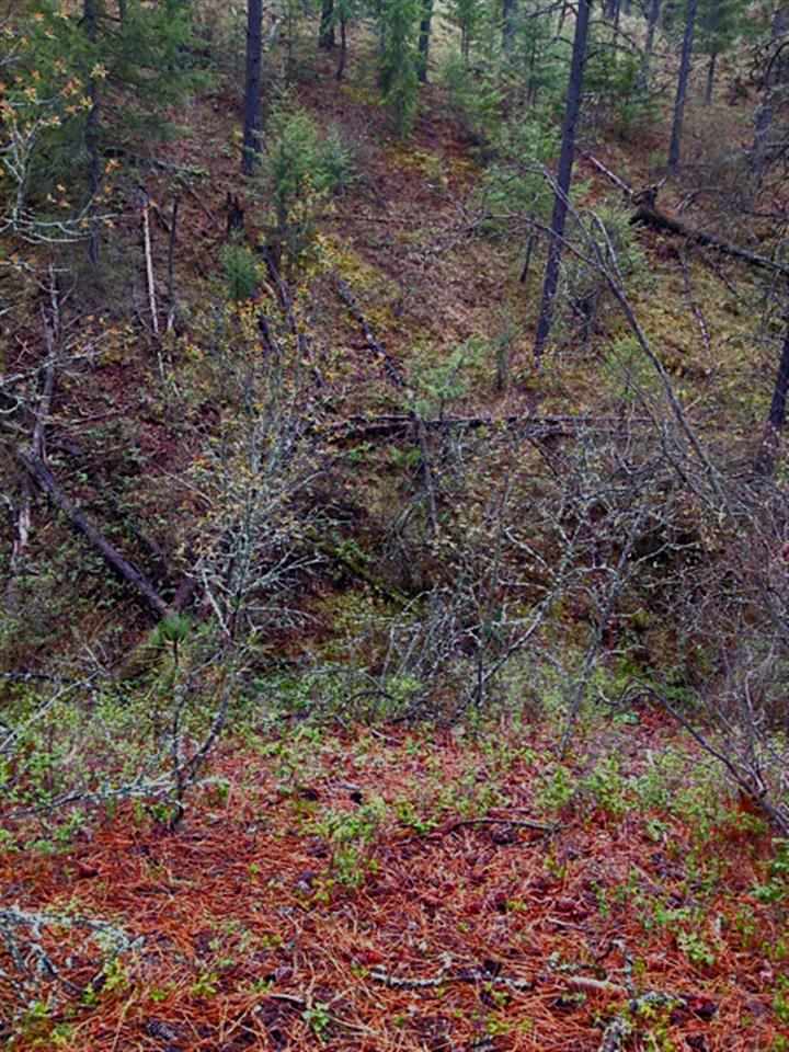 0 North Hardesty Road Colbert, WA 99005 - Photo 11 of 16