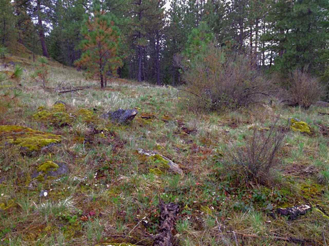0 North Hardesty Road Colbert, WA 99005 - Photo 12 of 16