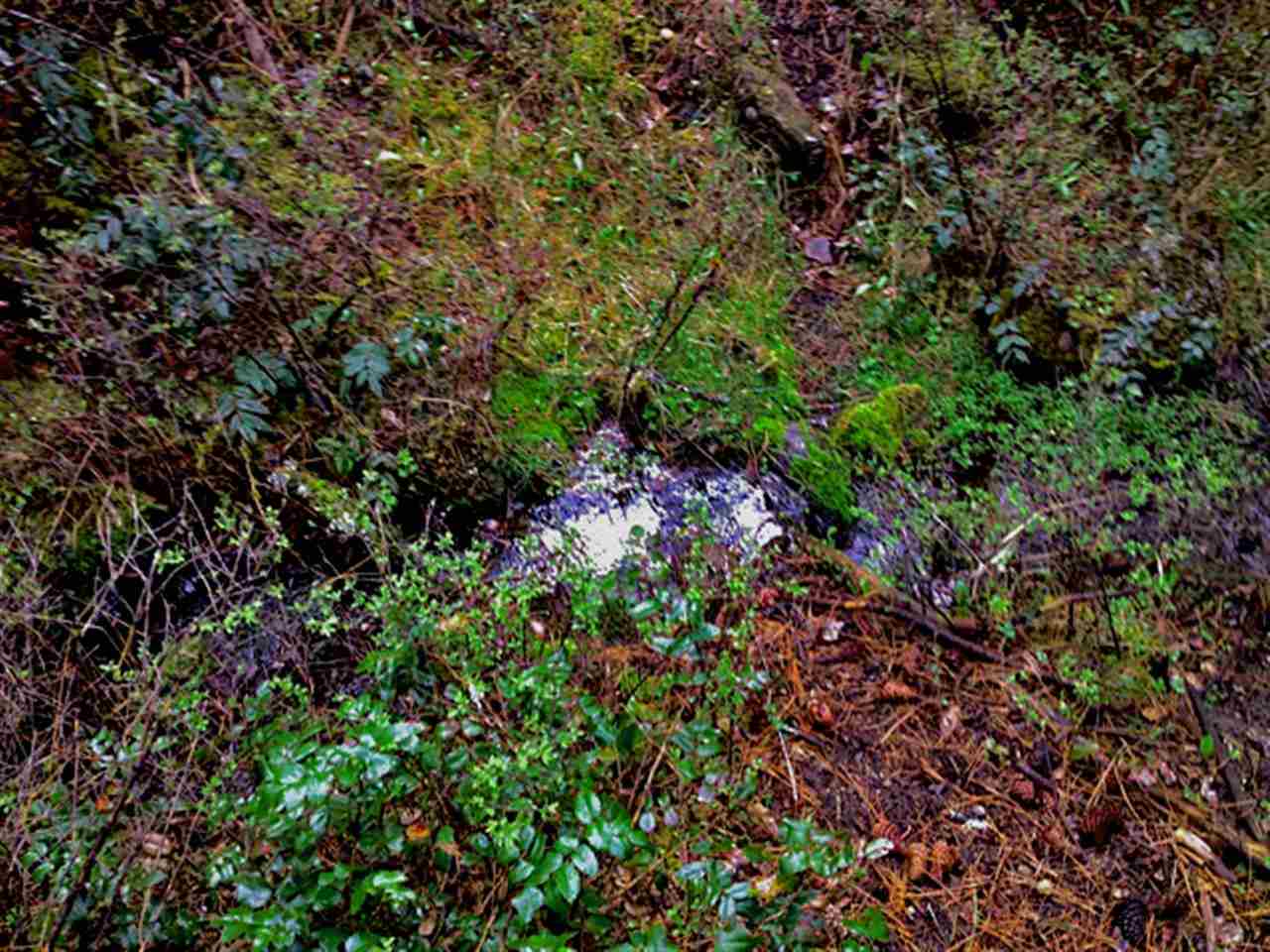 0 North Hardesty Road Colbert, WA 99005 - Photo 9 of 16